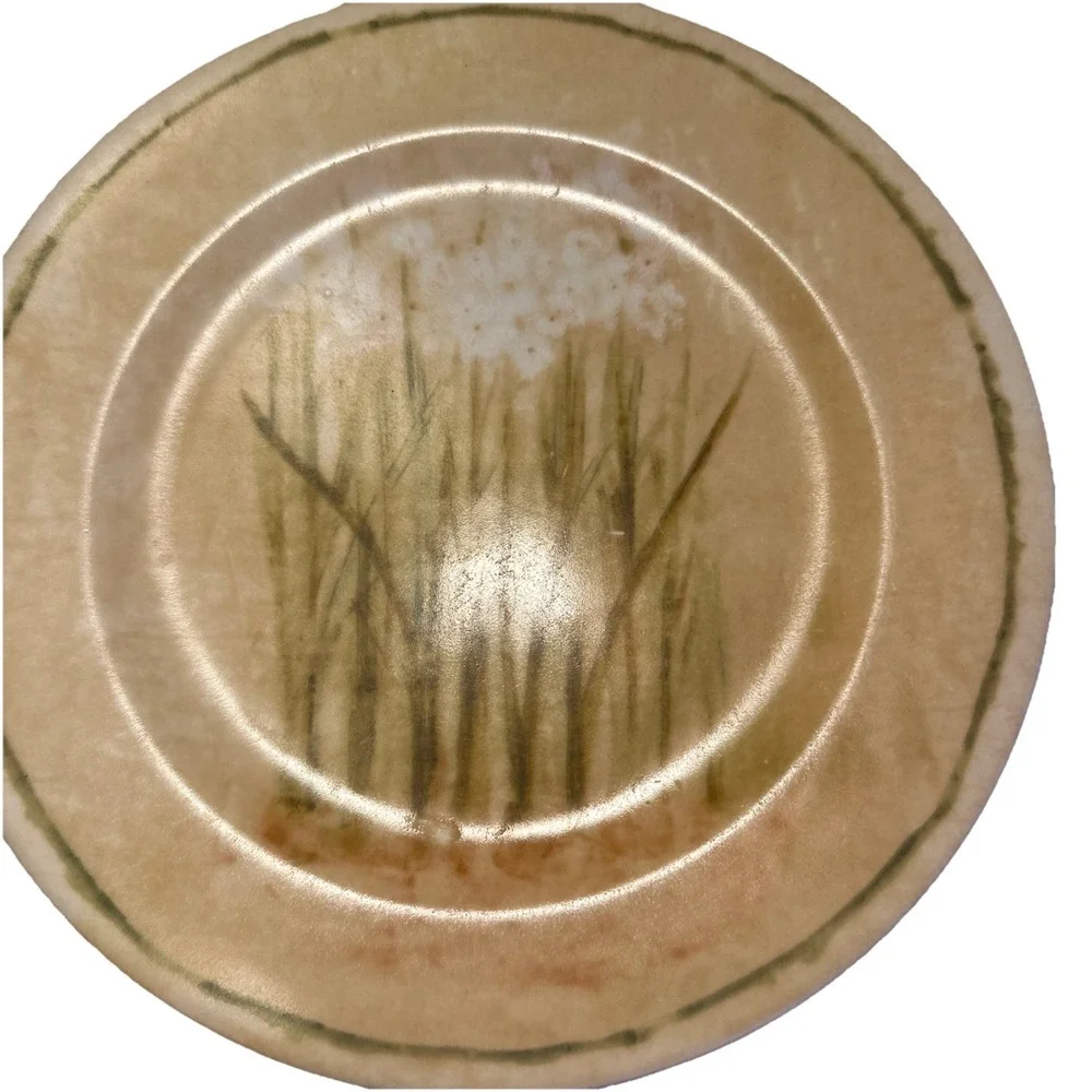 Cheri Blum 222 Fifth Narcissus Set Of 2 Salad Dessert Plates Floral‎ Design